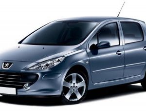 Peugeot 307 2001-2008 Petrol