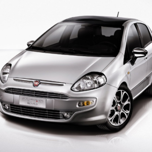 Fiat Punto/Evo Petrol