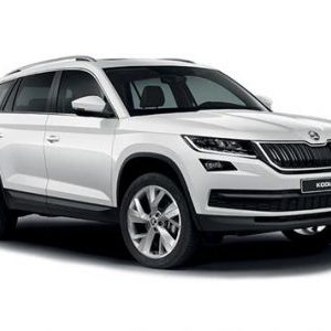 Skoda Kodiaq 2017-> Petrol