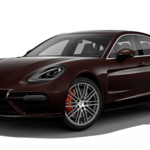 PORSCHE PANAMERA 971.2 2020-> Petrol